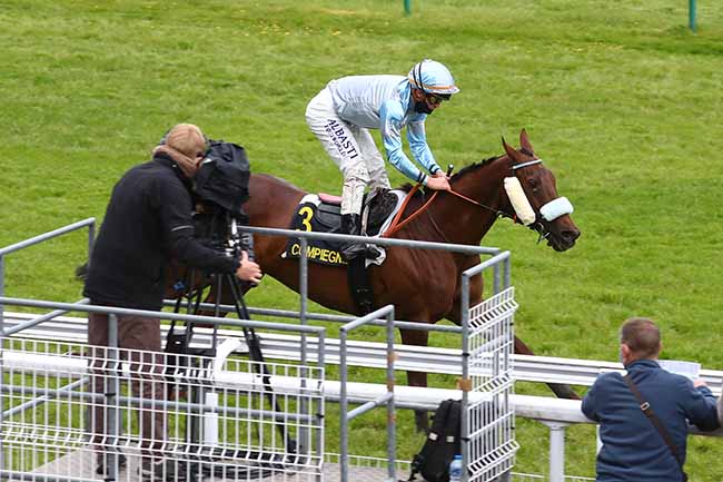 Photo d'arrivée de la course pmu PRIX DE LA GARDE IMPERIALE à COMPIEGNE le Mardi 25 mai 2021