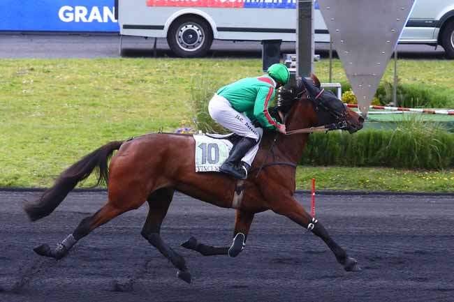 Photo d'arrivée de la course pmu PRIX PALMIER MAZARI à MONS (GHLIN) le Mardi 25 mai 2021