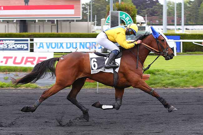 Photo d'arrivée de la course pmu PRIX NICOLAS à LE CROISE-LAROCHE le Mercredi 26 mai 2021