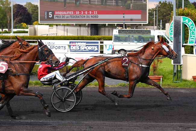 Photo d'arrivée de la course pmu PRIX DE LA FEDERATION DU NORD à LE CROISE-LAROCHE le Mercredi 26 mai 2021