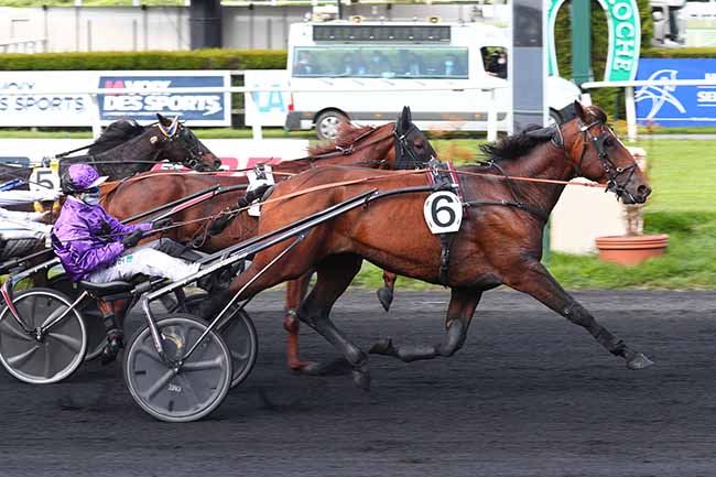 Photo d'arrivée de la course pmu PRIX DU NORD à LE CROISE-LAROCHE le Mercredi 26 mai 2021