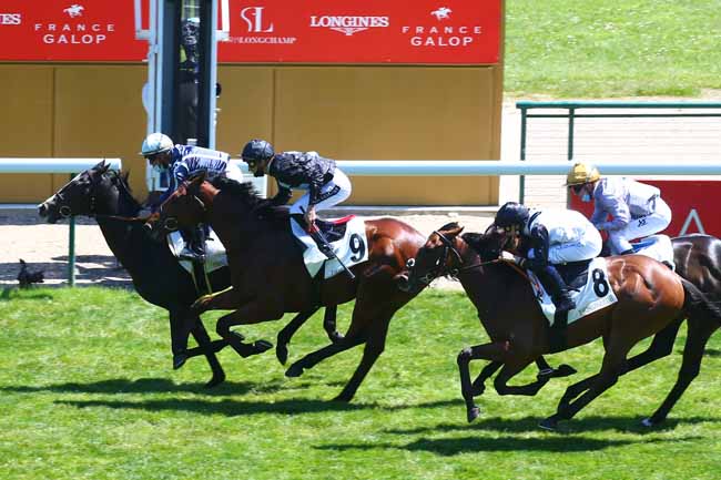 Photo d'arrivée de la course pmu PRIX DU BASSIN PARISIEN à LONGCHAMP le Dimanche 30 mai 2021