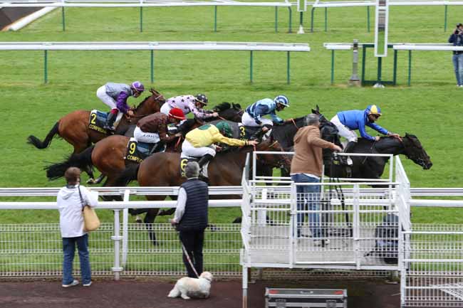 Photo d'arrivée de la course pmu PRIX DE LA CLAIRIERE DE L'ARMISTICE à COMPIEGNE le Vendredi 4 juin 2021