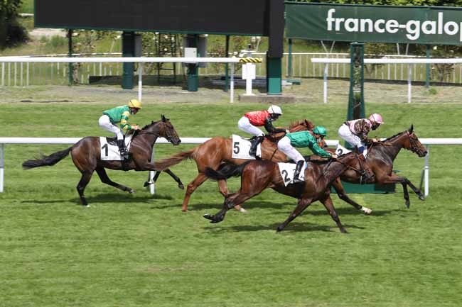 Photo d'arrivée de la course pmu PRIX ARBELE à SAINT-CLOUD le Mardi 8 juin 2021