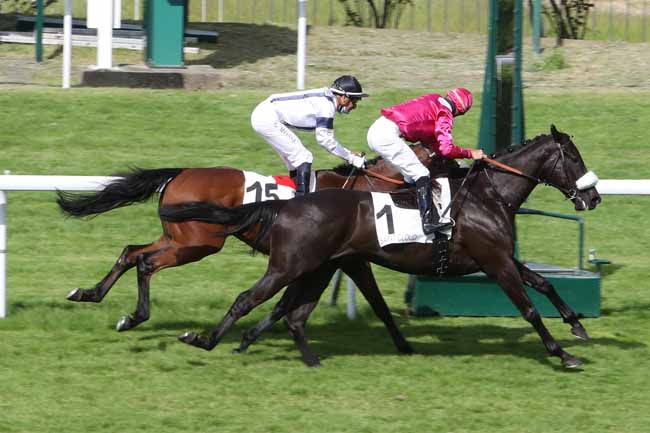 Photo d'arrivée de la course pmu PRIX DE LA CELLE-SAINT-CLOUD à SAINT-CLOUD le Mardi 8 juin 2021