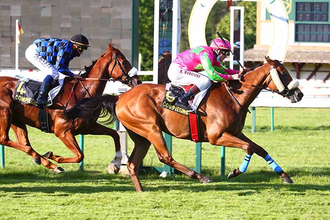 Photo d'arrivée de la course pmu PRIX DE LA FORET DE RETZ à COMPIEGNE le Vendredi 11 juin 2021