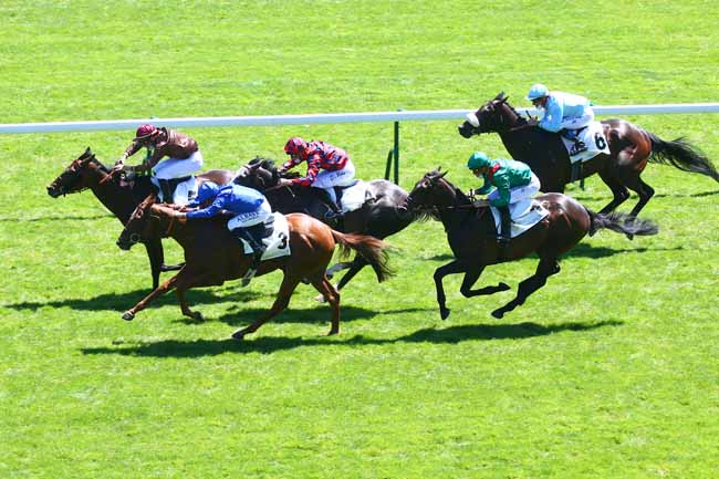 Photo d'arrivée de la course pmu PRIX RIDGWAY à LONGCHAMP le Dimanche 13 juin 2021