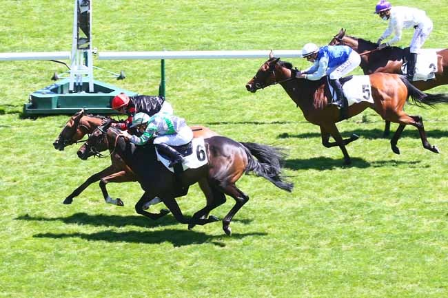 Photo d'arrivée de la course pmu PRIX MELISANDE à LONGCHAMP le Dimanche 13 juin 2021