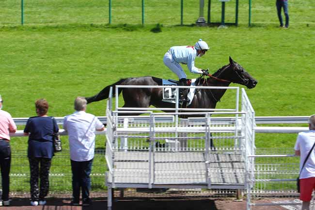 Photo d'arrivée de la course pmu PRIX DES FRONDAISONS à COMPIEGNE le Mardi 15 juin 2021
