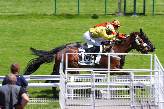 Photo d'arrivée de la course pmu PRIX DES BEAUX MONTS à COMPIEGNE le Mardi 15 juin 2021