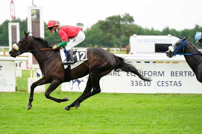 Photo d'arrivée de la course pmu PRIX FOIE GRAS BIRABEN à LA TESTE DE BUCH le Jeudi 17 juin 2021
