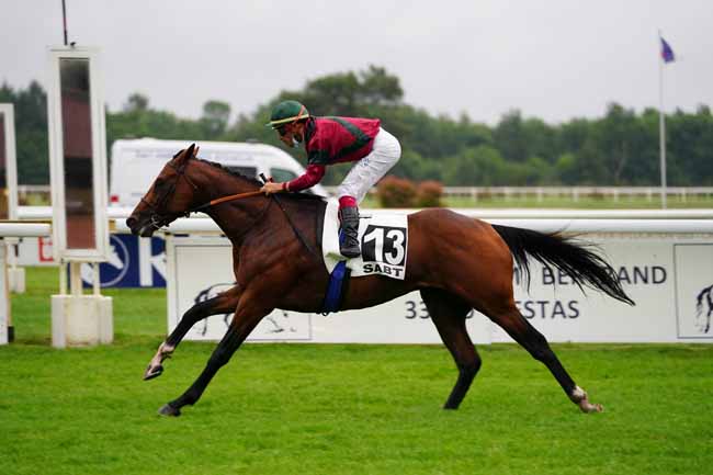 Photo d'arrivée de la course pmu PRIX DU BASSIN D'ARCACHON - SABT à LA TESTE DE BUCH le Jeudi 17 juin 2021