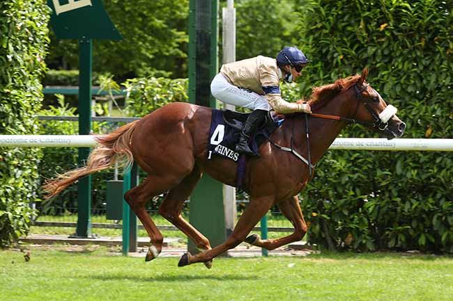 Photo d'arrivée de la course pmu PRIX DU BOIS LONGINES - FONDS EUROPEEN DE L'ELEVAGE à CHANTILLY le Dimanche 20 juin 2021