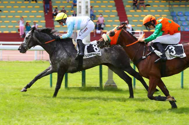 Photo d'arrivée de la course pmu PRIX REVENGE à COMPIEGNE le Lundi 21 juin 2021