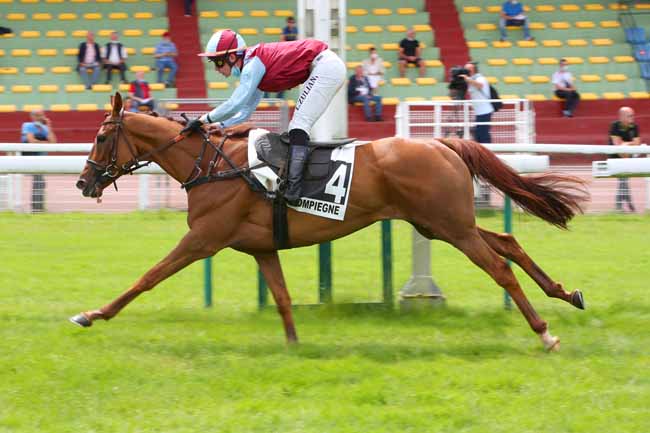 Photo d'arrivée de la course pmu PRIX DE LA BELLE FERRONIERE à COMPIEGNE le Lundi 21 juin 2021