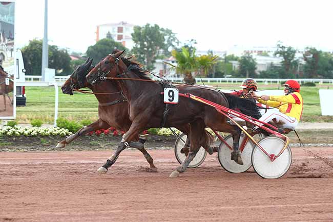 Photo d'arrivée de la course pmu PRIX DE LA DEPECHE DU MIDI à TOULOUSE le Mercredi 23 juin 2021