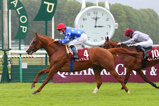 Photo d'arrivée de la course pmu QATAR COUPE DE FRANCE DES CHEVAUX ARABES à CHANTILLY le Vendredi 25 juin 2021
