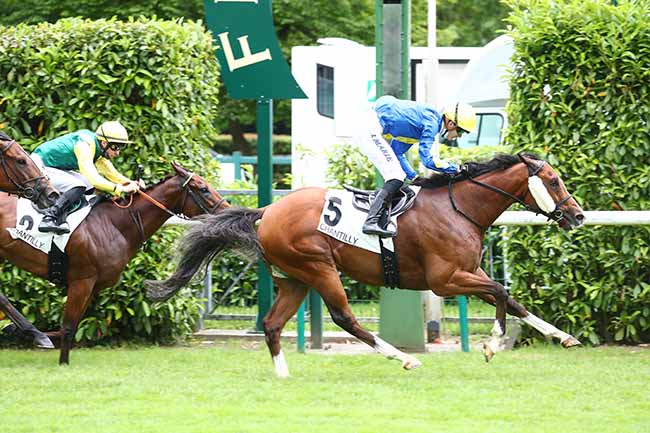 Photo d'arrivée de la course pmu PRIX HAMPTON à CHANTILLY le Vendredi 25 juin 2021