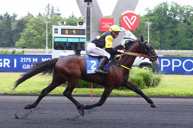 Photo d'arrivée de la course pmu ETRIER 3 ANS FINALE - PRIX D'ESSAI à PARIS-VINCENNES le Dimanche 27 juin 2021