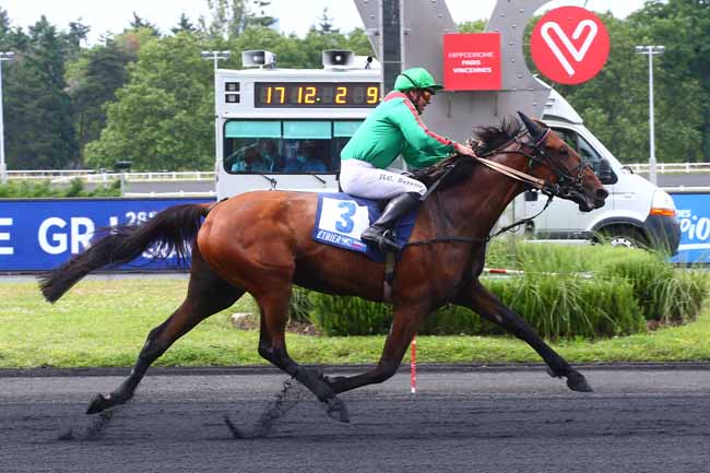 Photo d'arrivée de la course pmu ETRIER 4 ANS - PRIX DU PRESIDENT DE LA REPUBLIQUE à PARIS-VINCENNES le Dimanche 27 juin 2021