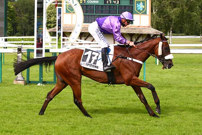 Photo d'arrivée de la course pmu PRIX DE LA DIVETTE à COMPIEGNE le Mardi 6 juillet 2021
