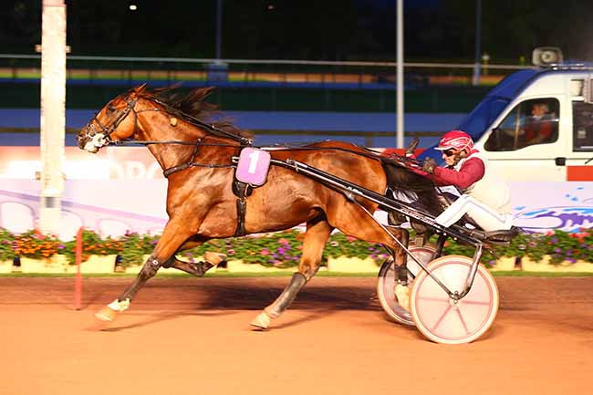 Photo d'arrivée de la course pmu PRIX DE BAGNOLES-DE-L'ORNE à CABOURG le Vendredi 9 juillet 2021
