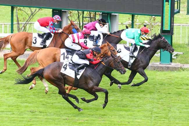 Photo d'arrivée de la course pmu PRIX DE CHÂTEAU-THIERRY à SAINT CLOUD le Vendredi 9 juillet 2021
