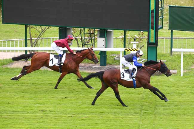 Photo d'arrivée de la course pmu PRIX BELFONDS à SAINT CLOUD le Vendredi 9 juillet 2021