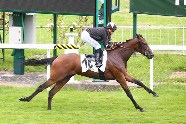 Photo d'arrivée de la course pmu PRIX DES BAINS DE MER à SAINT CLOUD le Vendredi 9 juillet 2021