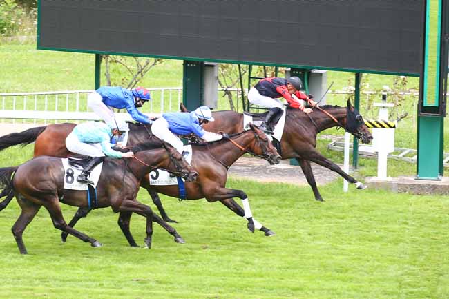 Photo d'arrivée de la course pmu PRIX CHARLES SEMBLAT à SAINT CLOUD le Vendredi 9 juillet 2021