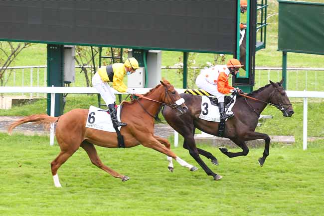 Photo d'arrivée de la course pmu PRIX MARGOUILLAT à SAINT CLOUD le Vendredi 9 juillet 2021