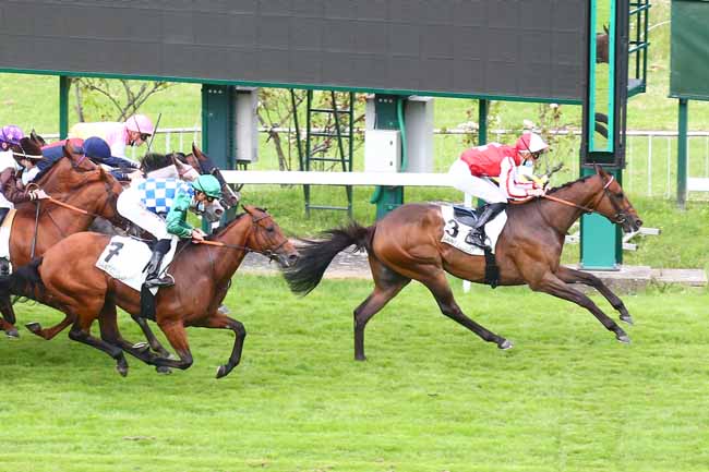 Photo d'arrivée de la course pmu PRIX DE REIMS à SAINT CLOUD le Vendredi 9 juillet 2021