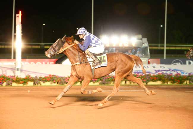 Photo d'arrivée de la course pmu PRIX DES EUPHRAISES à CABOURG le Vendredi 23 juillet 2021
