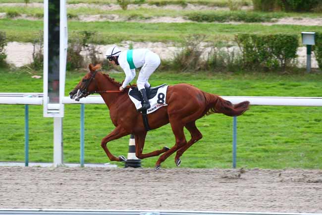 Photo d'arrivée de la course pmu PRIX 
