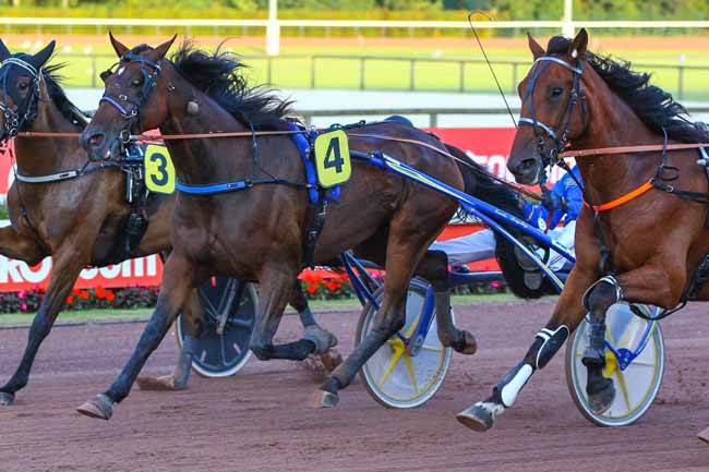 Photo d'arrivée de la course pmu PRIX DES ASPERULES à CABOURG le Vendredi 6 août 2021