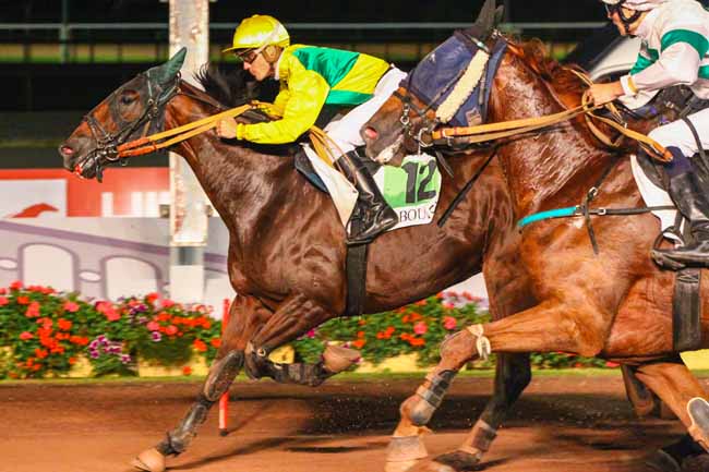 Photo d'arrivée de la course pmu PRIX DES LILAS à CABOURG le Vendredi 6 août 2021