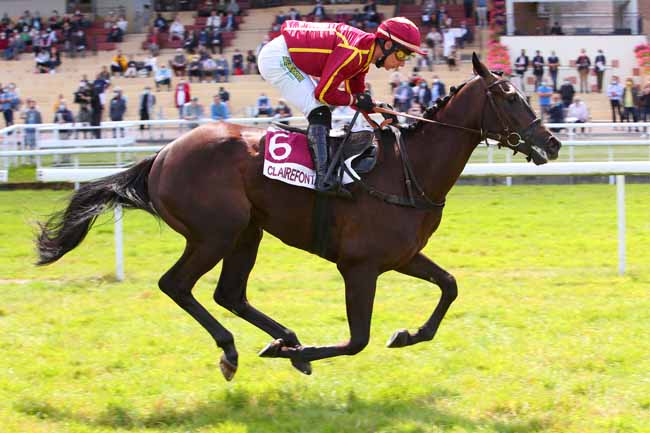 Photo d'arrivée de la course pmu PRIX SIMPLE GAGNANT ET SIMPLE PLACE (PRIX DE L'ORBIQUET) à CLAIREFONTAINE le Vendredi 6 août 2021