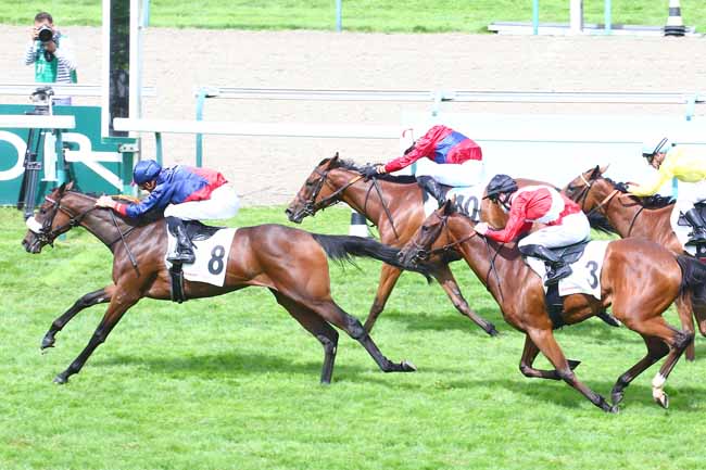 Photo d'arrivée de la course pmu PRIX NORMANDIE EQUESTRIAN WEEK - PRIX DE FALAISE à DEAUVILLE le Samedi 7 août 2021