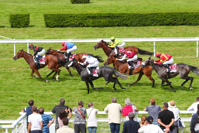 Photo d'arrivée de la course pmu PRIX ASSOCIATION DES PROPRIETAIRES PERMIS D'ENT. - APPE (PRIX DE LA FONTAINE) à CLAIREFONTAINE le Mercredi 11 août 2021