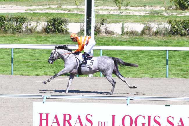 Photo d'arrivée de la course pmu PRIX D'ISIGNY à DEAUVILLE le Samedi 14 août 2021