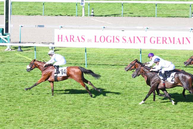 Photo d'arrivée de la course pmu PRIX DU QUAI SAINTE-CATHERINE à DEAUVILLE le Samedi 14 août 2021