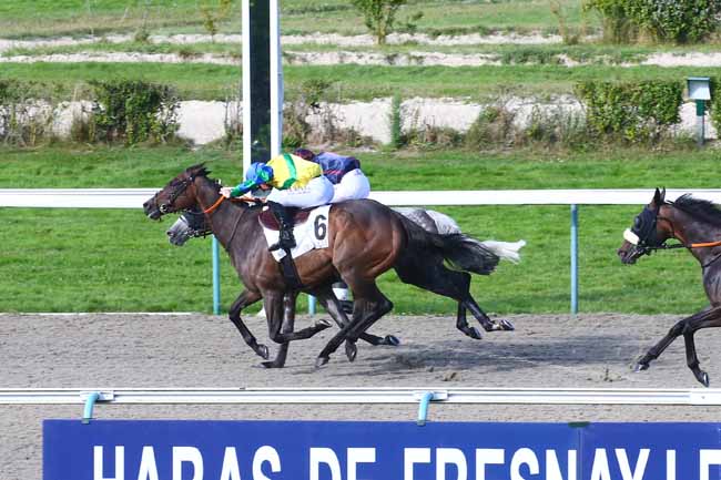 Photo d'arrivée de la course pmu PRIX DU QUAI SAINT-ETIENNE à DEAUVILLE le Dimanche 15 août 2021