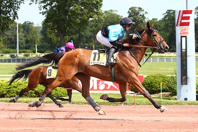 Photo d'arrivée de la course pmu PRIX DE CHATOU à ENGHIEN le Dimanche 15 août 2021