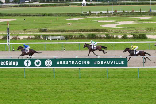 Photo d'arrivée de la course pmu PRIX AFTER FOOT - PRIX DU HAMEL à DEAUVILLE le Jeudi 19 août 2021