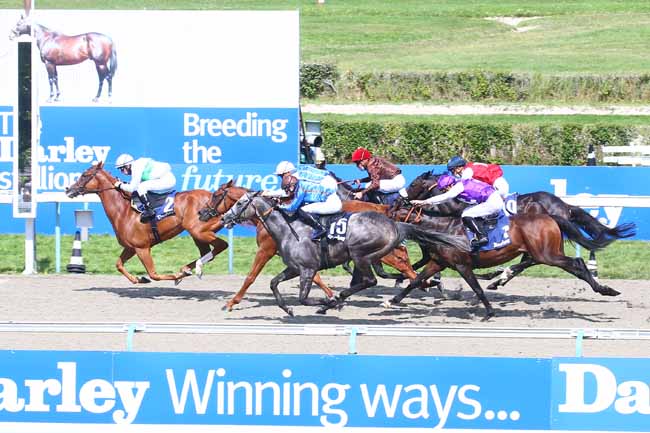 Photo d'arrivée de la course pmu DARLEY PRIX DE PONT-L'EVEQUE à DEAUVILLE le Dimanche 22 août 2021
