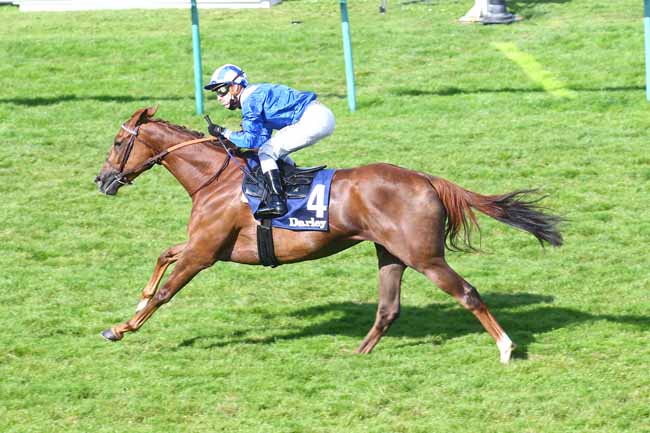 Photo d'arrivée de la course pmu DARLEY PRIX DE POMONE à DEAUVILLE le Dimanche 22 août 2021