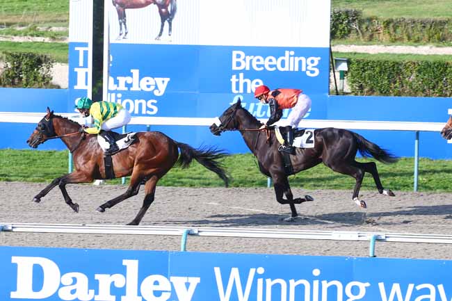 Photo d'arrivée de la course pmu PRIX DE LIVAROT à DEAUVILLE le Dimanche 22 août 2021