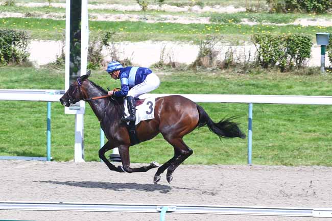 Photo d'arrivée de la course pmu PRIX RECONVERSION CHEVAL DE COURSES EN CHEVAL DE LOISIR (PRIX DE COSQUEVILLE) à DEAUVILLE le Samedi 28 août 2021
