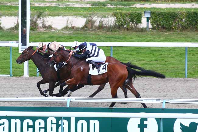 Photo d'arrivée de la course pmu PRIX RECONVERSION CHEVAL DE COURSES EN CHEVAL DE POLO (PRIX DU LITTORAL) à DEAUVILLE le Samedi 28 août 2021