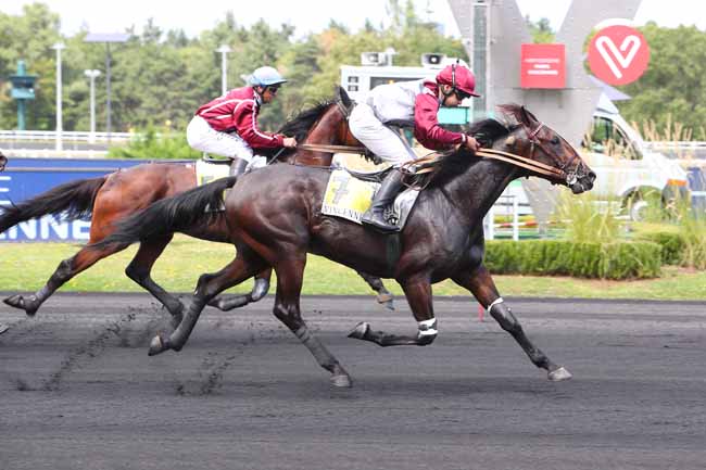 Photo d'arrivée de la course pmu PRIX PIERRE GAMARE à PARIS-VINCENNES le Samedi 28 août 2021